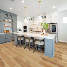 South Seas Oak