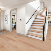 Natural Maple