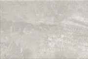 Emser Cavanite II 8" x 12" Fawn