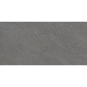 Emser Lunara 12" x 24" Honed Vega