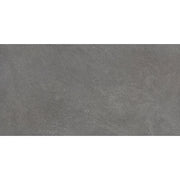 Emser Lunara 24" x 47" Honed Vega