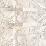 Emser Calacata 12" x 24" Honed Giallo