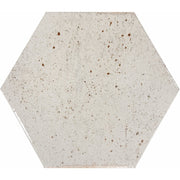 Emser Metamor 8" x 9" Hexagon Glossy Copan