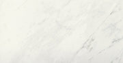 Emser Vara 24"x47" Polished Groven
