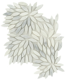 Winter frost