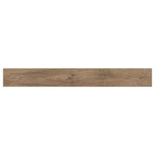Saddle Oak