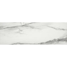 Venato