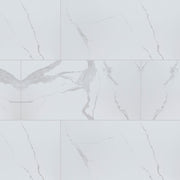 MS International Eden 12" x 24" Polished Statuary