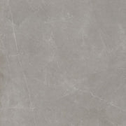 Emser Sterline 24" x 24"  Polished Dove 