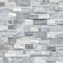 Alaska Gray