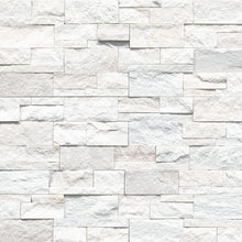 Arctic White