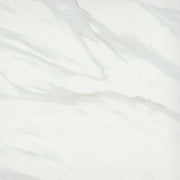 Emser Vara 24" x 24" Polished Ribia